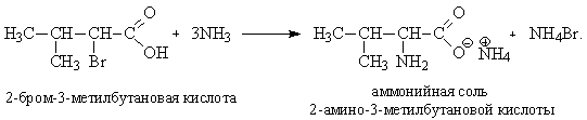 2 Бром 3 метилбутановая кислота. 2 Бром 3 метилбутановая кислота nh3. 2 Метилбутановая кислота + бром. 3 Метилбутановая кислота формула. 3 хлорбутановая кислота формула