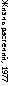 :  , 1977